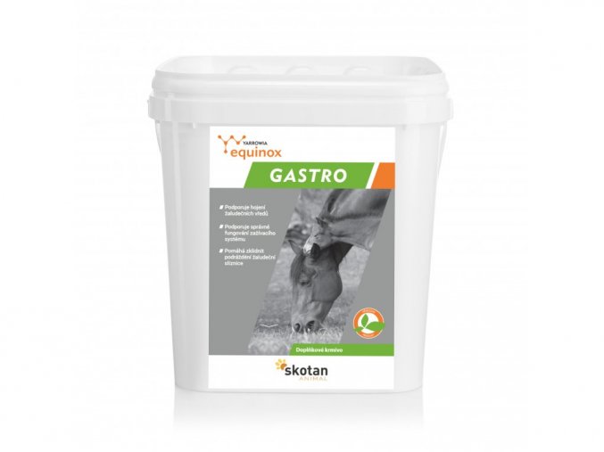 4628 equinox gastro 3kg cz