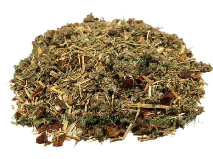 vyr 909 bs lymfaticky system 2023