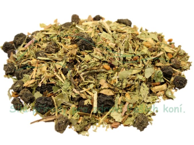 vyr 8 b s pohybovew problemy 2023