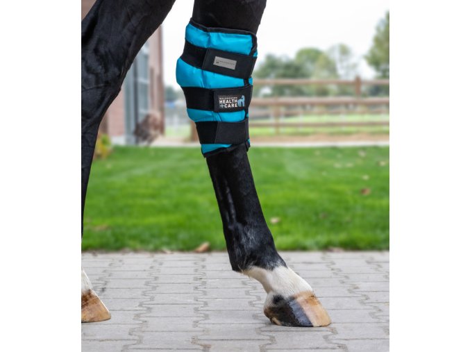 3863157 WB 20 800x800