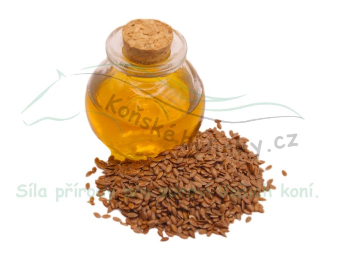 Snímek obrazovky 2025 12 17 140951