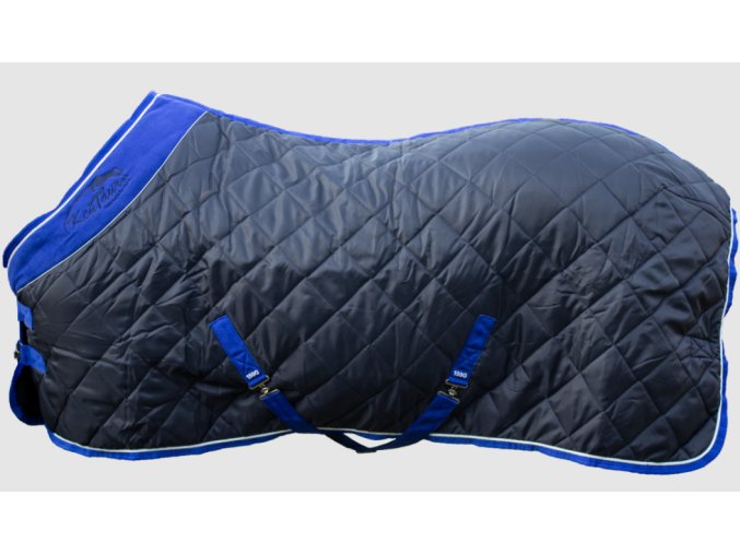 Snímek obrazovky 2026 01 12 145825