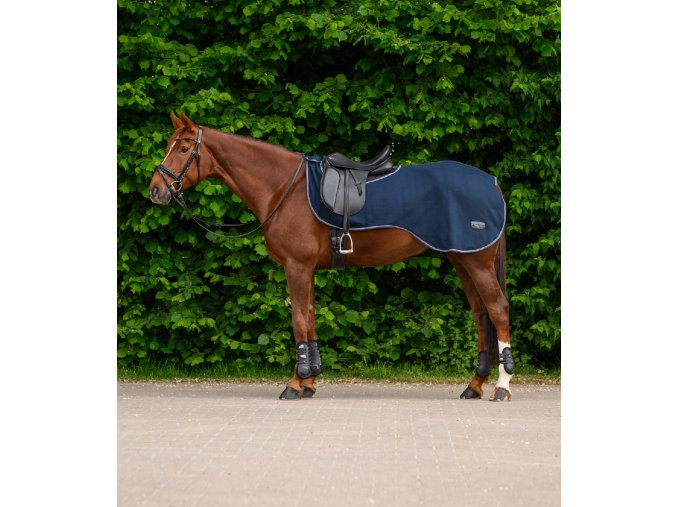 6320205 PON 10 1920x1920