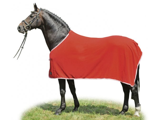 Fleecová deka Alaska2