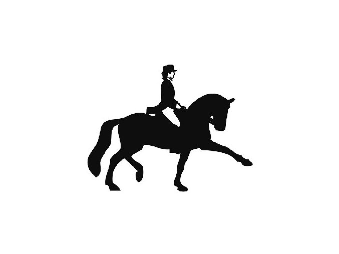 8565 samolepka na auto dressage
