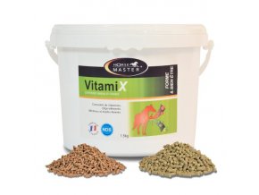 vitamix