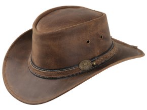 g2578 5H83 brown aaw