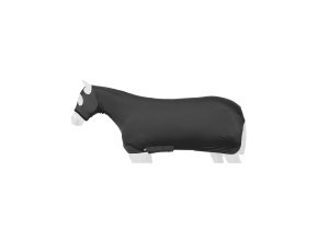 CO00081A BK 1