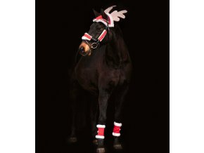 7464801 10 1920x1920