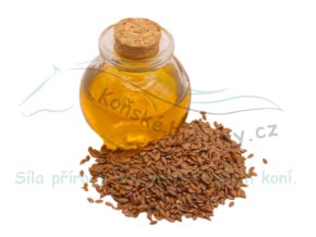 Snímek obrazovky 2025 12 17 140951