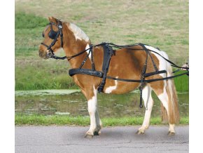 Poprsní postroj nylon Pony (Velikost shetty)