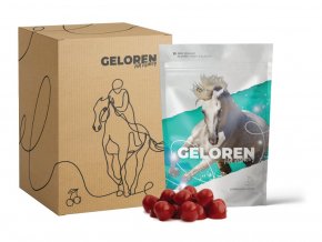 43 1 geloren visnovy new horse 3