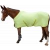 41421 lime