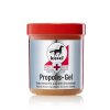 Erste Hilfe Propolis 06