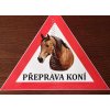 trojuhelnik vystrazny kone quarter horse