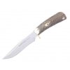 nuz muela pointer 13A 1