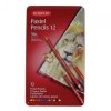 7262 2 suche pastely derwent pastel pencil sada 12 barev