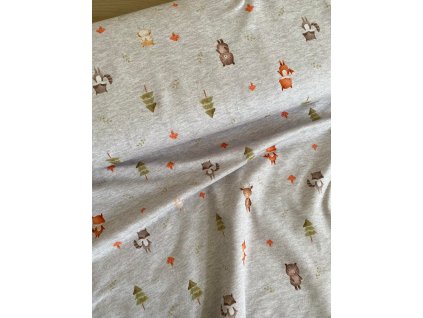 470499636 573661122070556 259136739945010249 n