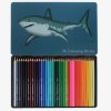 30608 3 shark 36 colouring pencils in tin.png