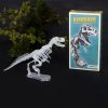 28897 tyrannosaurus dinosaur skeleton lifestyle