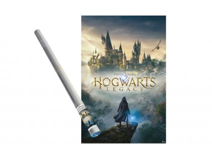 harry potter plakat hogwarts legacy