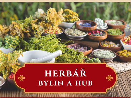 Herbář bylin a vitálních hub