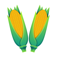 Plant-Based Product