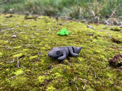 Krokodýl samec - Mini ZOO