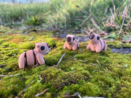 Kapybara - Mini ZOO