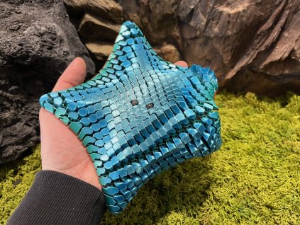 Mořská hvězdice  21 cm