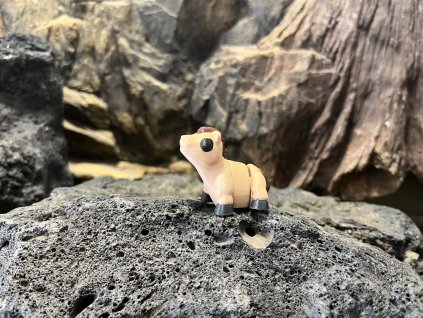 Kůň plavák - Mini farma