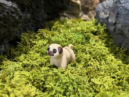 Pejsek Mops - Mini farma