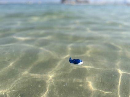 Plejtvák obrovský - velryba Mini ZOO