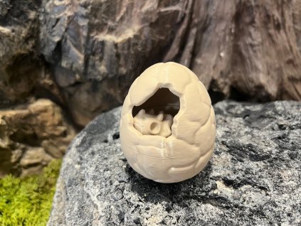Mládě Triceratopse kostry ve vajíčku 7 cm