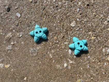 Mořská hvězdice mátová - hvězdice Mini ZOO