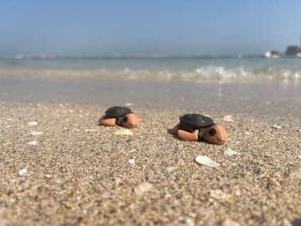 Kareta obrovská - mořská želva Mini ZOO