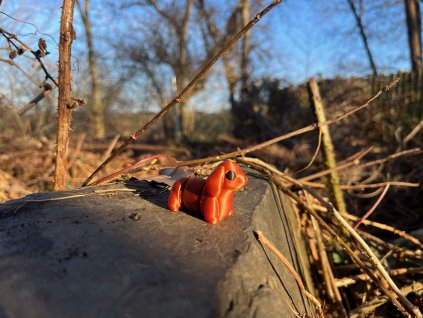 Pejsek Jezevčík - Mini ZOO