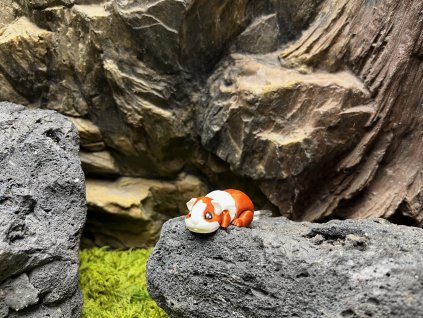 Morče bílo zrzavé přívěšek 6 cm