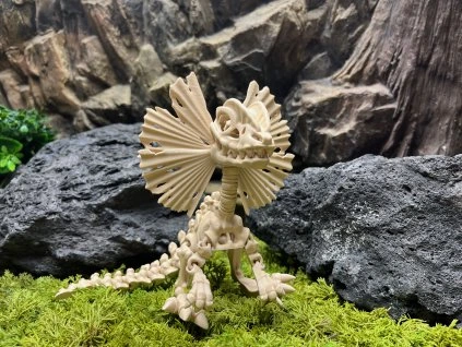 Flexi Dilophosaurus kostra 24 cm