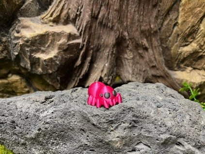 Pavouček Zářivka - Mini ZOO