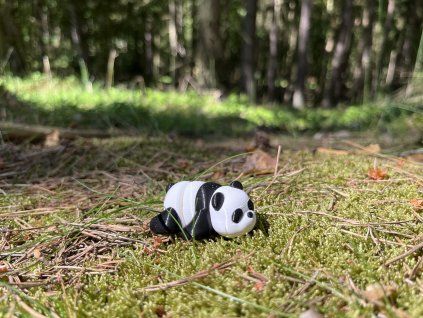 Panda - Mini ZOO