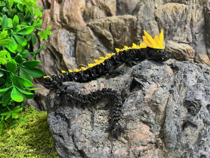 Krystalový drak Gold mine edition 40 cm 3D tisk