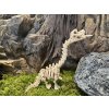 Flexi Brachiosaurus kostra 23 cm