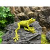 Flexi žabka Pralesnička 19 cm