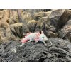 Mini Axolotl přívěsek různé barvy 10 cm - 3D tisk