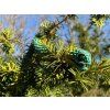 Bush Viper – Ultra-Realistic 3D Figure, 61 cm