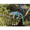 Chameleon jemenský – ultra realistická 3D figurka 29 cm
