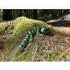 Gekonek 14 cm –  vyberte si 3D tištěné gekonky