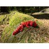 Gekonek 15 cm –  vyberte si 3D tištěné gekonky