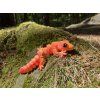 Gekonek 14 cm –  vyberte si 3D tištěné gekonky